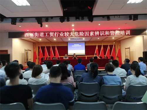西麗街道工貿行業(yè)較大危險因素辨識和管控培訓